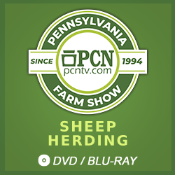 2019 PA Farm Show: Sheep Herding