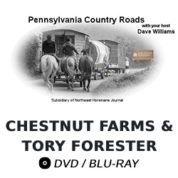 Pennsylvania Country Roads: Chestnut Farms & Tory Forester