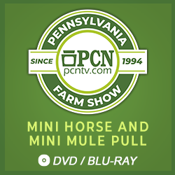 2022 PA Farm Show: Mini Horse and Mini Mule Pull