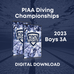 2023 PIAA Boys 3A Diving