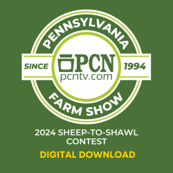 2024 PA Farm Show Sheep-to-Shawl Contest