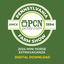 2024 PA Farm Show Mini Horse Extravaganza