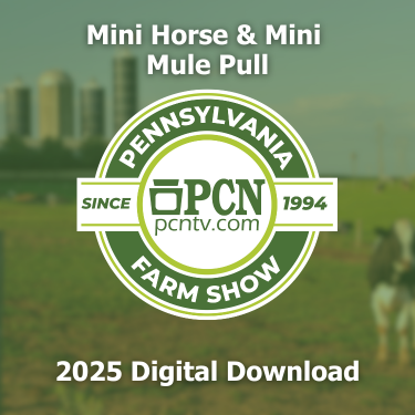 2025 PA Farm Show Mini Horse and Mini Mule Pull Contest