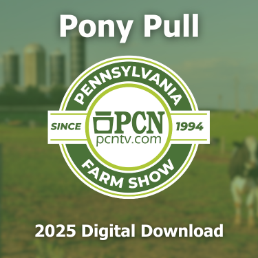 2025 PA Farm Show Pony Pull Contest