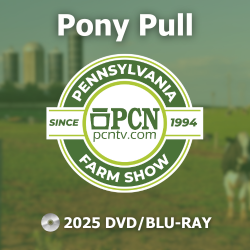 2025 PA Farm Show Pony Pull Contest