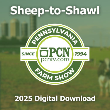 2025 PA Farm Show Sheep-to-Shawl Contest