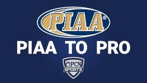 PIAA To Pro