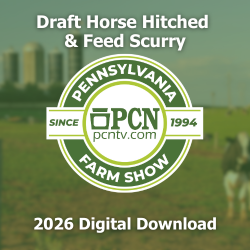 2026 PA Farm Show Draft Horse Hitched Competition and Feed Scurry