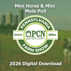 2026 PA Farm Show Mini Horse and Mule Pull Contest