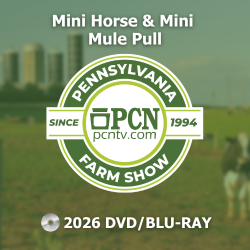 2026 PA Farm Show Mini Horse and Mule Pull Contest