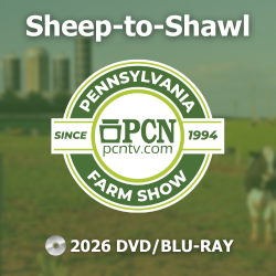 2026 PA Farm Show Sheep-to-Shawl Contest