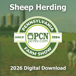 2026 PA Farm Show Sheep Herding Contest